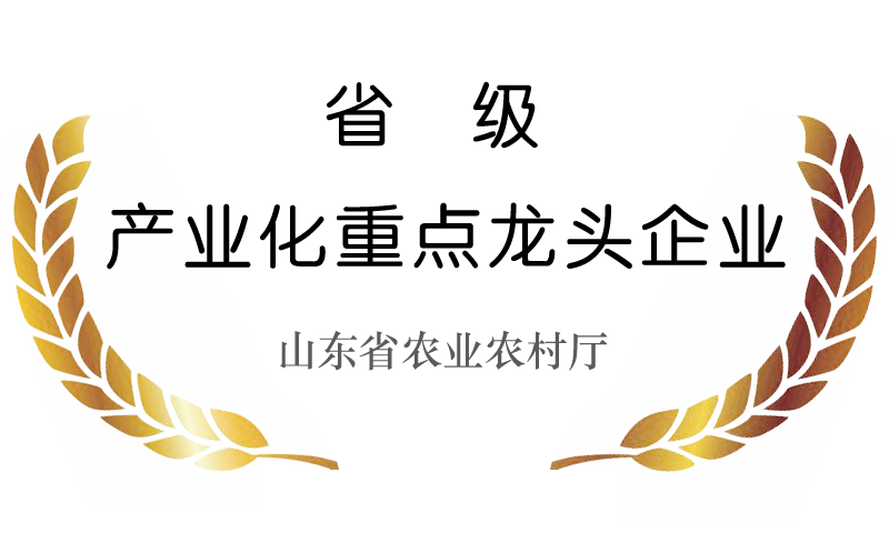 ɽ�|�����r(n��ng)���Ƽ��ɷ����޹�˾�Y�|(zh��)�s�u(y��) 